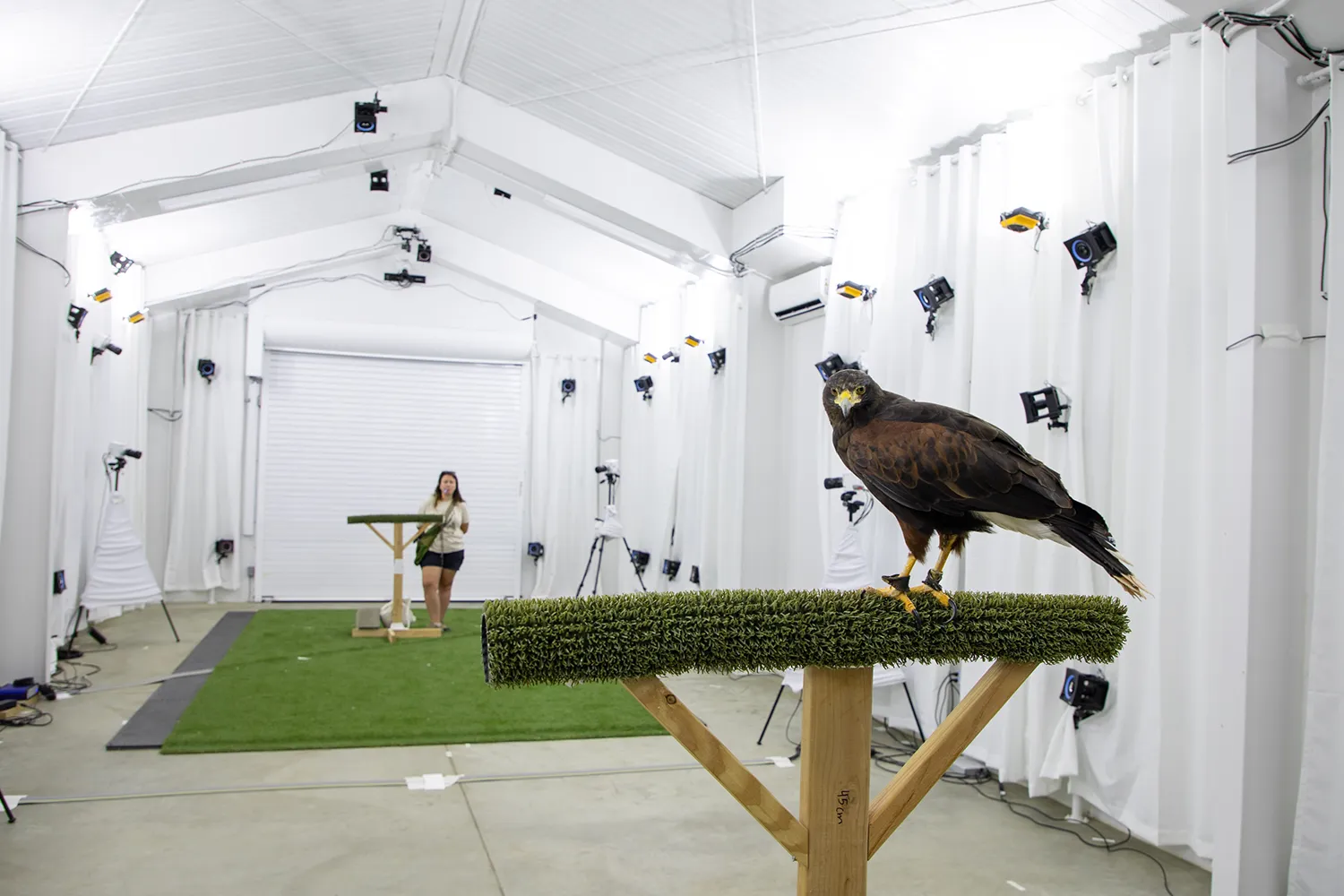 BIRDLab_3.webp