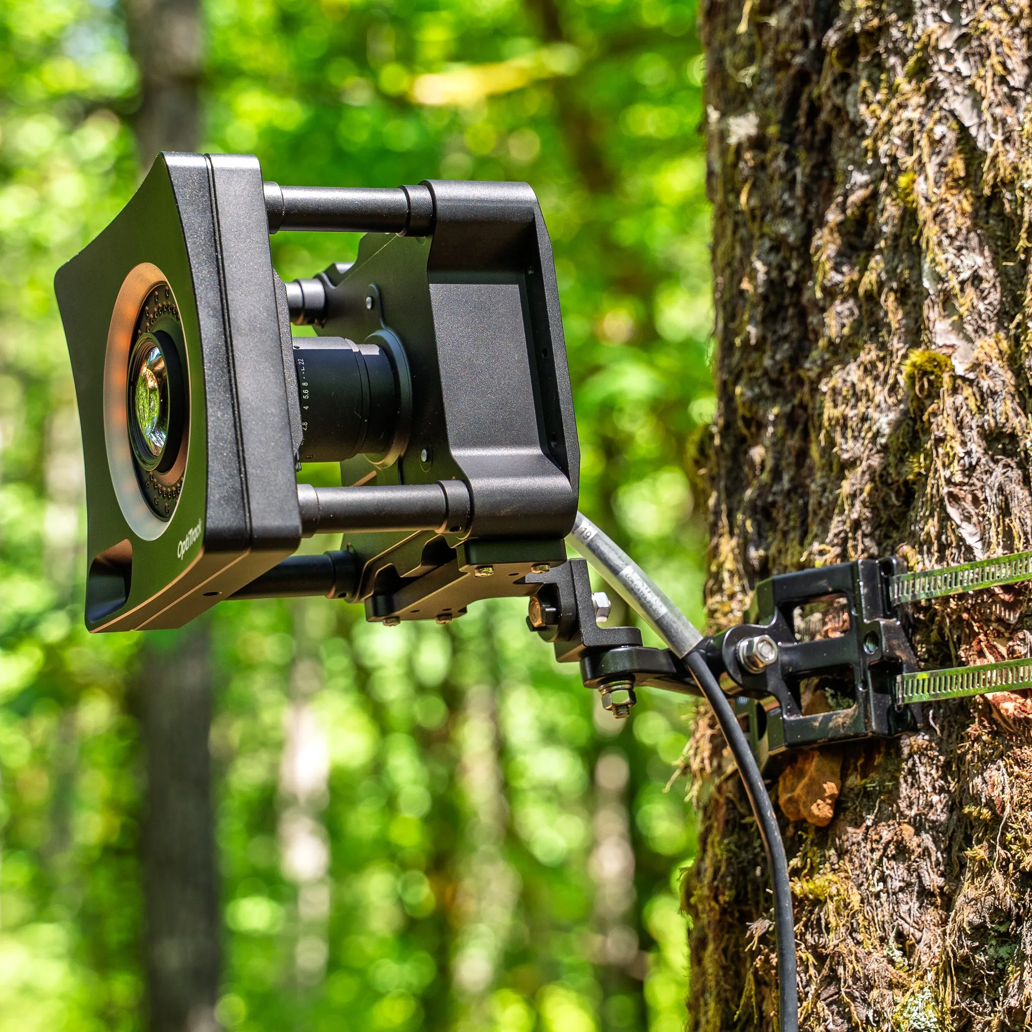 Heavy duty mount used on tree